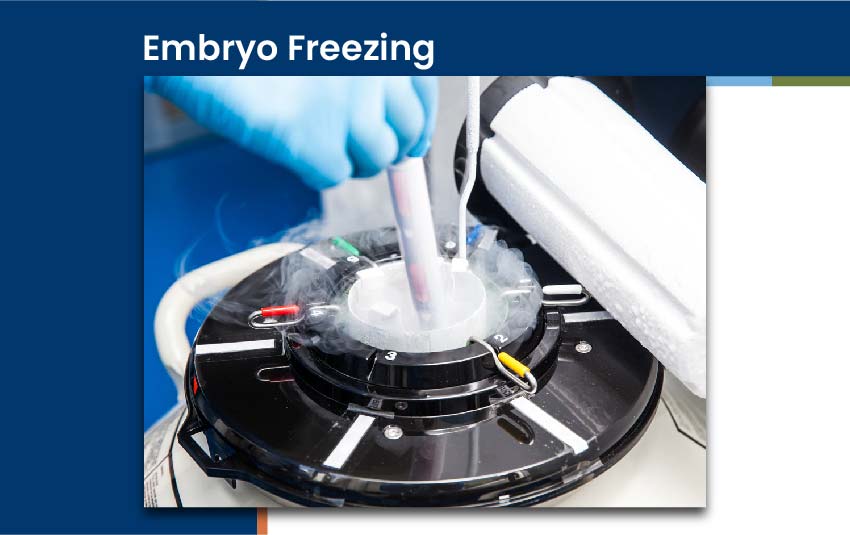 embryo-freezing