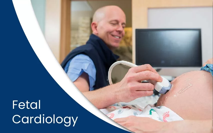 fetal-cardiology-jpg