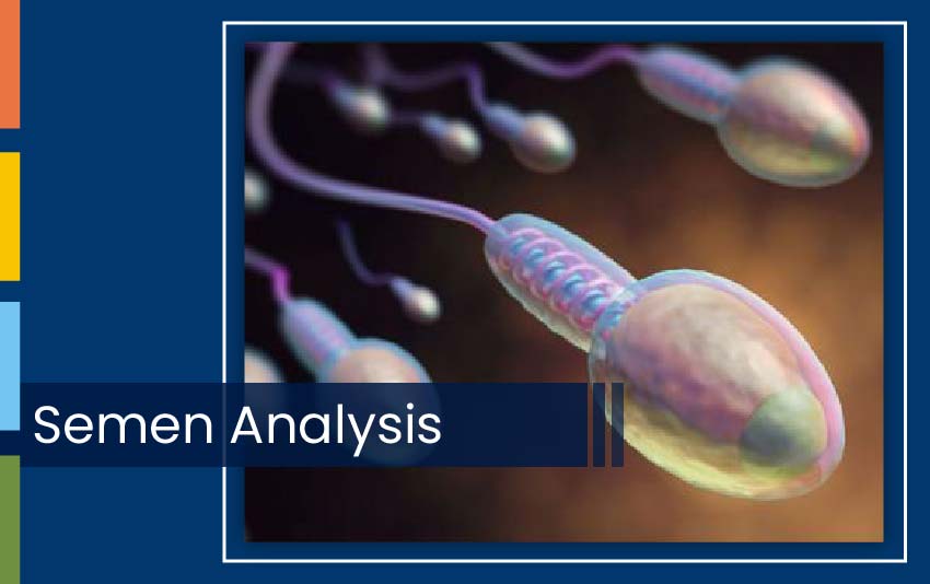 SEMEN ANALYSIS