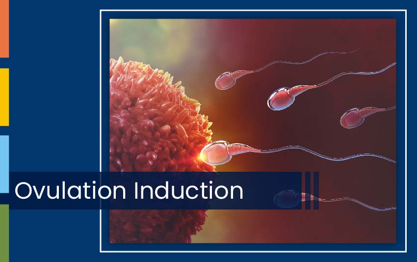 OVULATION INDUCTION