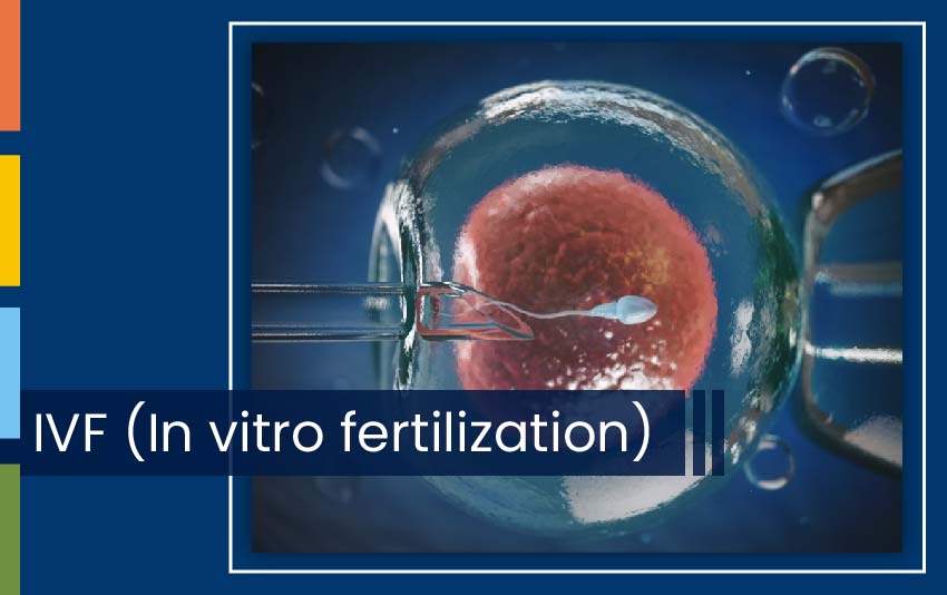 IVF