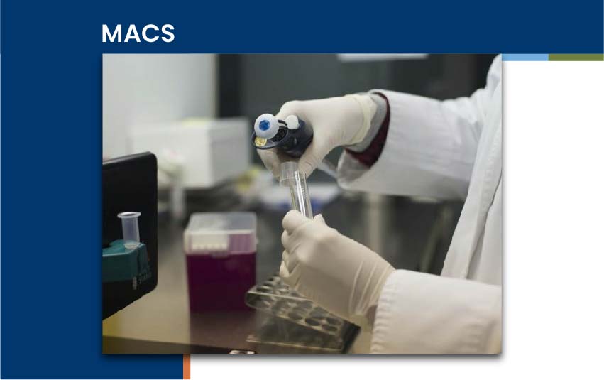 macs