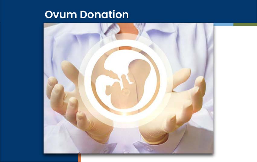 ovum-donation